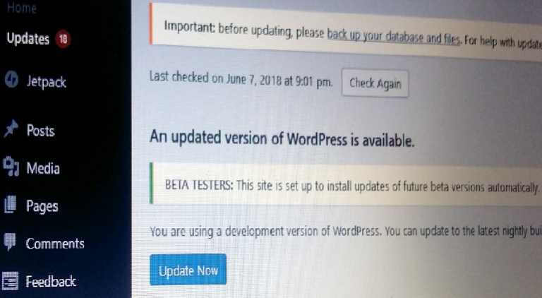 LOL: BabaYaga WordPress Malware Updates Your Site