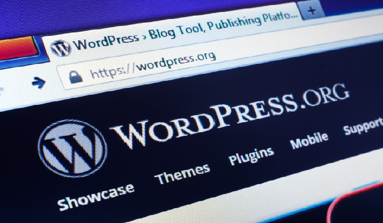 WORDPRESS CORRIGE UNE VULNÉRABILITÉ JOUR ZÉRO DANS SON CMS